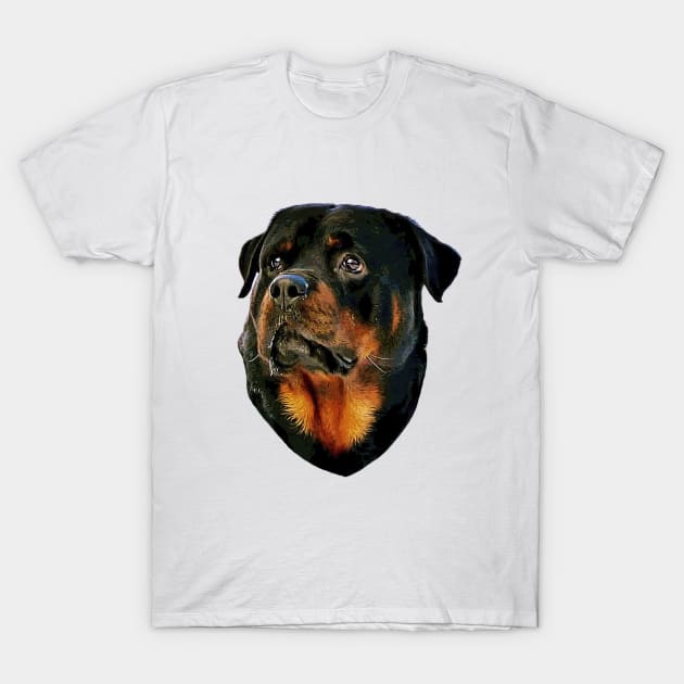 Rottweiler Dog T-Shirt by ElegantCat